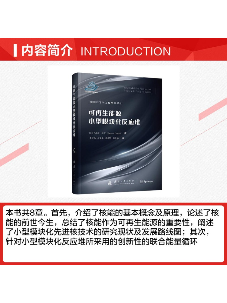 Book-Winshare Small Modular Re - đánh giá và giá Renewable Energy Books